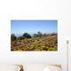Botanical Garden Funchal Wall Decal