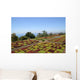 Botanical Garden Funchal Wall Decal