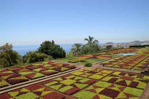 Botanical Garden Funchal Wall Decal