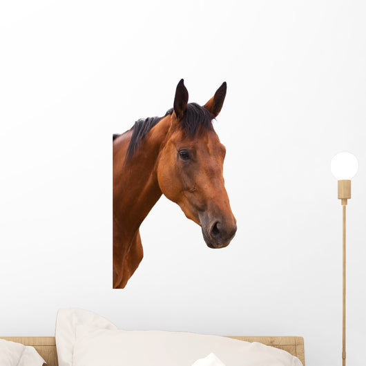 Horse Head Isolated Wall Decal