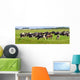 Herd Cortex Grazes Field Wall Decal
