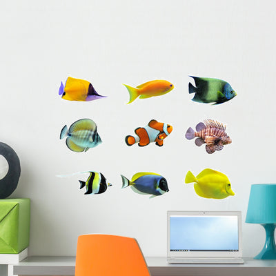 Nine Tropical Fish Wall Stickers shown on a wall