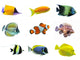 Nine Tropical Fish Wall Decal