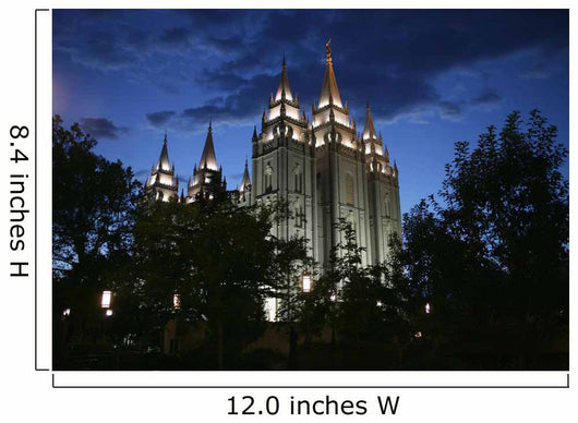 salt lake temple Wall Mural