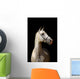 White Horse Black
