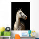 White Horse Black