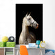 White Horse Black