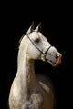 White Horse Black