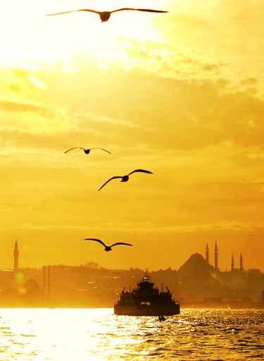 Istanbul Wall Decal