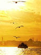 Istanbul Wall Decal