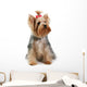 yorkshire terrier Wall Decal