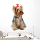 yorkshire terrier Wall Decal