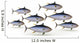 herd yellowfin tuna Wall Decal