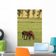 Grazing Horses Summer Landscape Wall Mural