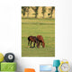 Grazing Horses Summer Landscape Wall Mural