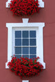 Red Window Beauty Wall Mural
