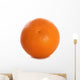 Tangerine Cutout Wall Mural