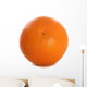 Tangerine Cutout Wall Mural