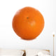 Tangerine Cutout Wall Mural