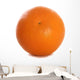 Tangerine Cutout Wall Mural
