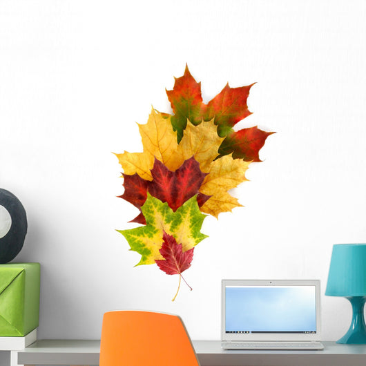 Colorful Composition with Autumn