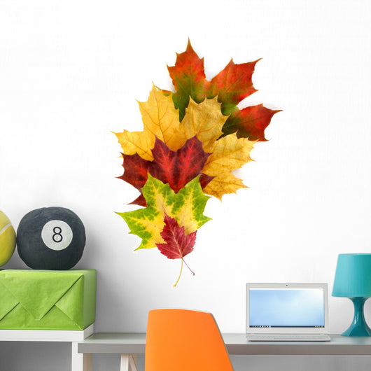 Colorful Composition with Autumn