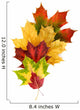 Colorful Composition with Autumn