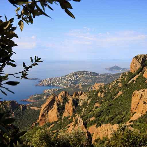 Esterel Wall Decal