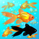 Neun Goldfische