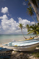 Rep Dominican Bayahibe
