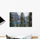 Moraine Lake in Banff National Park Wall Mural