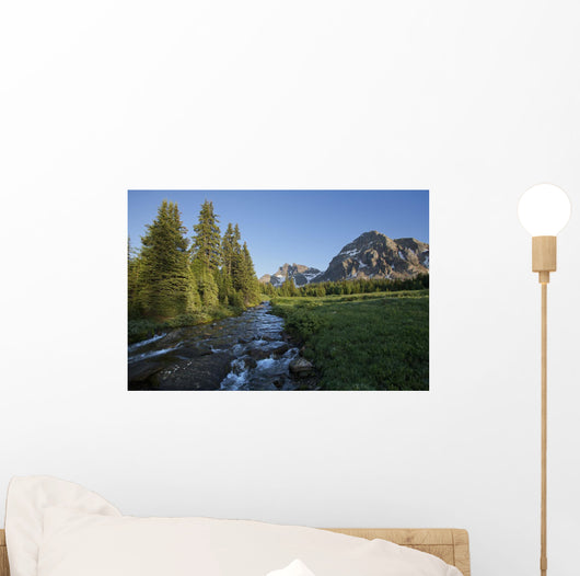 Gog Creek and surrounding mountains Wall Mural