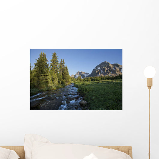 Gog Creek and surrounding mountains Wall Mural