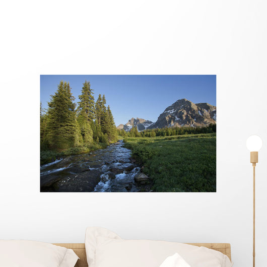 Gog Creek and surrounding mountains Wall Mural