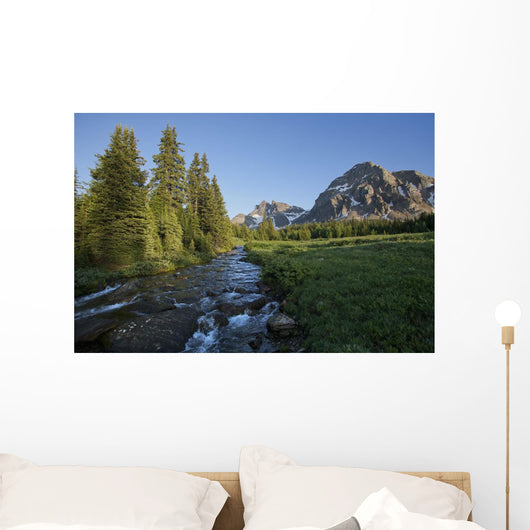 Gog Creek and surrounding mountains Wall Mural
