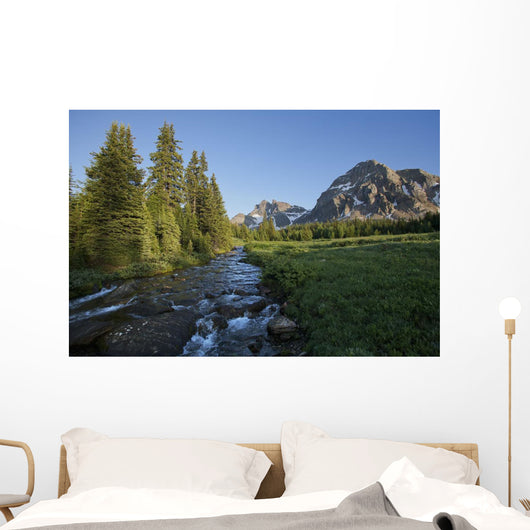 Gog Creek and surrounding mountains Wall Mural