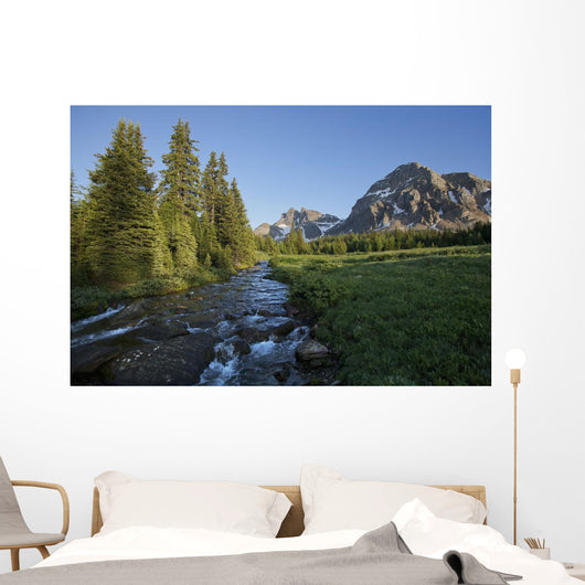 Gog Creek and surrounding mountains Wall Mural