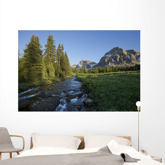 Gog Creek and surrounding mountains Wall Mural