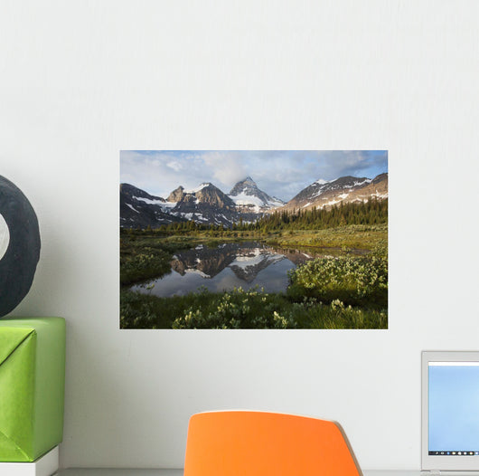 Mount Assiniboine and surrounding mountains Wall Mural