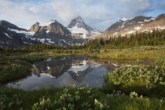 Mount Assiniboine and surrounding mountains Wall Mural