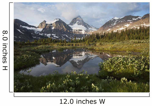 Mount Assiniboine and surrounding mountains Wall Mural