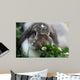 Rabbit Wall Mural
