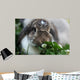 Rabbit Wall Mural