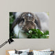 Rabbit Wall Mural
