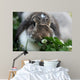 Rabbit Wall Mural