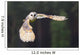 Schleiereule im Flug Wall Mural