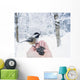 Hand feeding a black-capped chickadee sunflower seeds Wall Mural