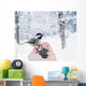 Hand feeding a black-capped chickadee sunflower seeds Wall Mural