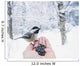 Hand feeding a black-capped chickadee sunflower seeds Wall Mural