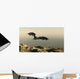 Dragon Flying over Mountain Wall Mural
